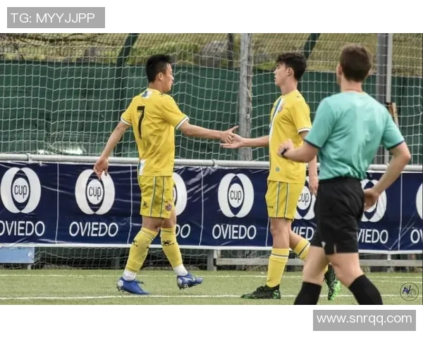芬兰足球明星风采展示与精彩瞬间回顾